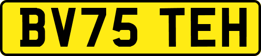 BV75TEH