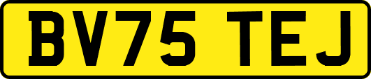 BV75TEJ