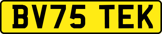 BV75TEK