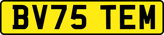 BV75TEM