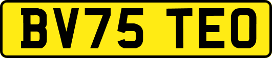 BV75TEO