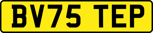 BV75TEP