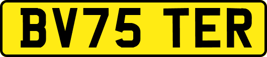 BV75TER