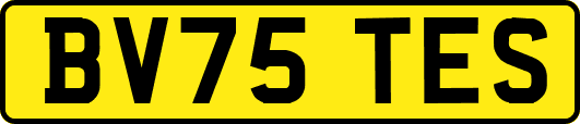 BV75TES