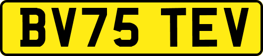 BV75TEV