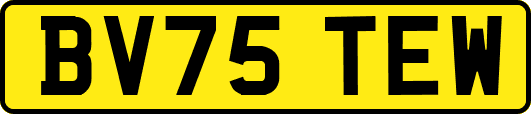 BV75TEW