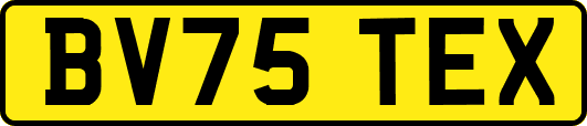 BV75TEX