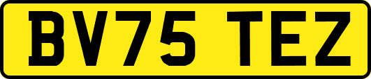 BV75TEZ