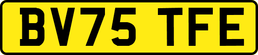 BV75TFE