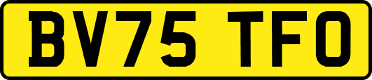 BV75TFO