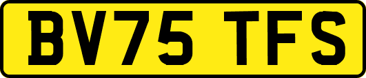 BV75TFS