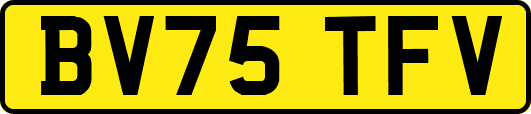 BV75TFV