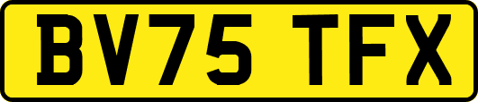 BV75TFX
