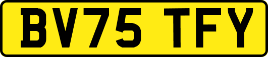 BV75TFY