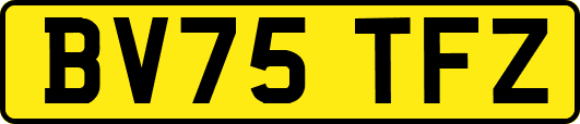 BV75TFZ