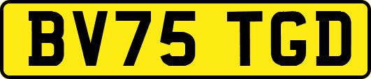 BV75TGD