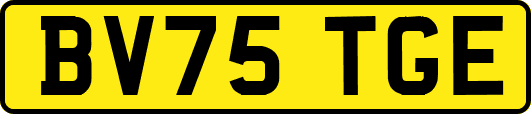 BV75TGE