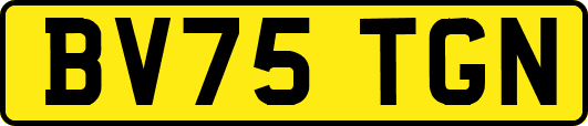 BV75TGN