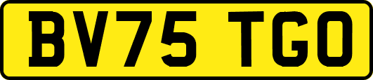 BV75TGO