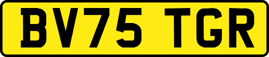 BV75TGR