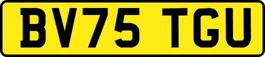 BV75TGU