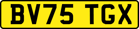 BV75TGX