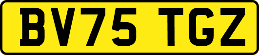 BV75TGZ
