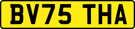 BV75THA