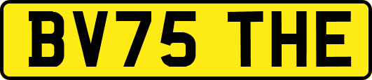 BV75THE