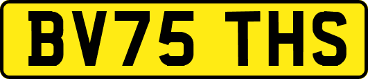 BV75THS