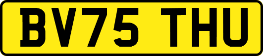 BV75THU