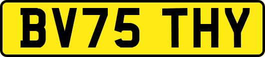 BV75THY