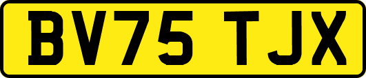 BV75TJX