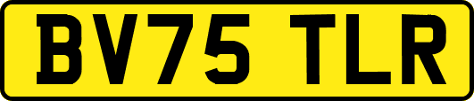 BV75TLR