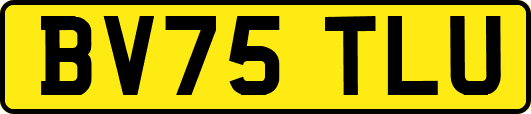 BV75TLU