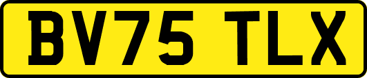 BV75TLX