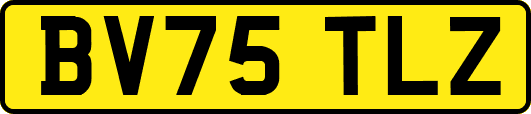 BV75TLZ