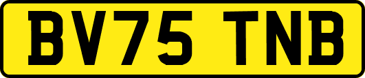 BV75TNB