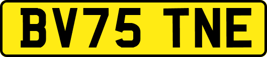 BV75TNE