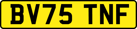 BV75TNF