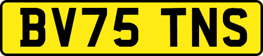 BV75TNS
