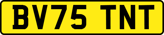 BV75TNT