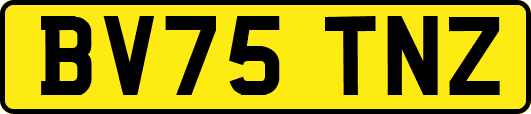 BV75TNZ