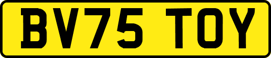 BV75TOY