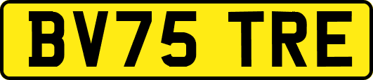 BV75TRE