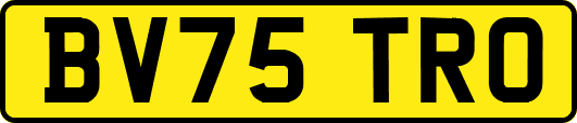 BV75TRO