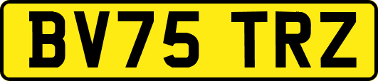 BV75TRZ