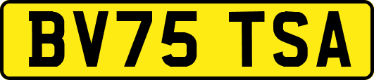 BV75TSA