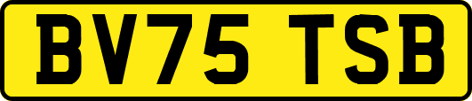 BV75TSB