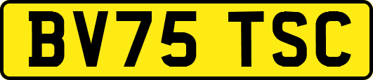 BV75TSC